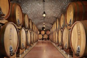 La cantina Angelini Wines e Estates: alle origini del Master of Wine Italia 2023
